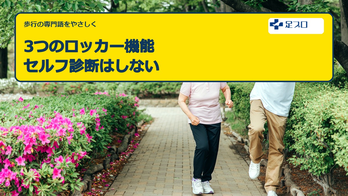 歩行の3つのロッカー機能