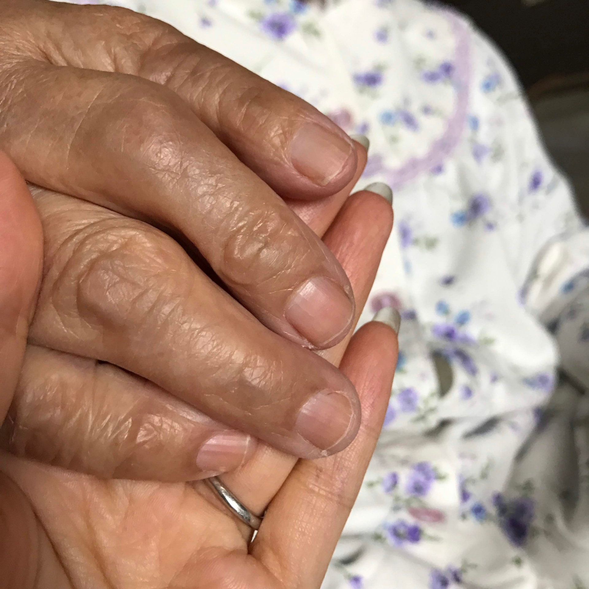 足爪を切り過ぎずやすりで整える手順を学ぶ様子